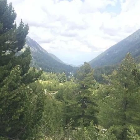 Belvedere アパート