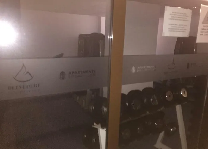 Belvedere バンスコ