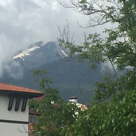 Belvedere Apartament